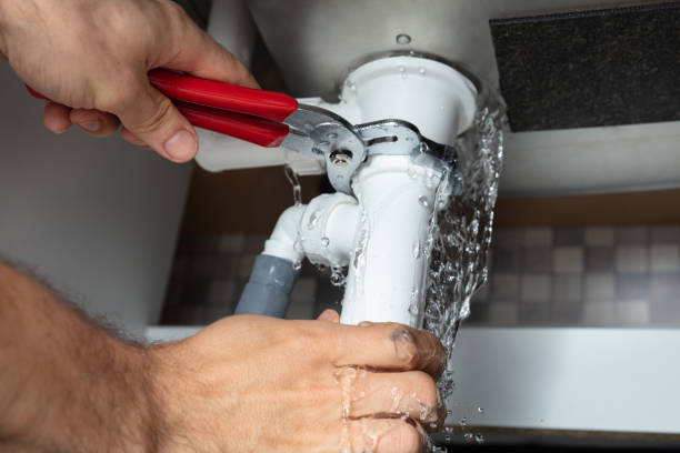 Best Ceiling water damage repair  in Homewood, IL