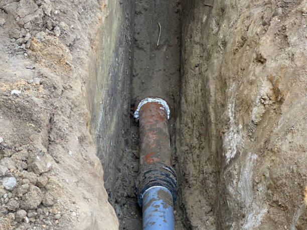 Best Sewage cleanup and water damage restoration  in Homewood, IL