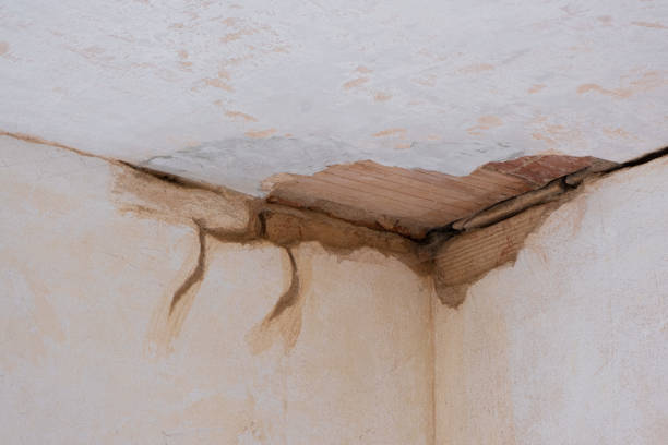 Best Carpet water damage restoration  in Homewood, IL