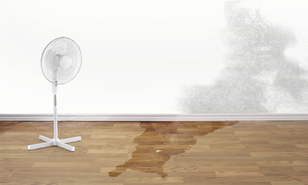 Best Water damage restoration experts  in Homewood, IL