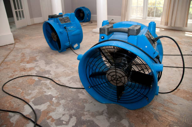 Best 24/7 water damage repair  in Homewood, IL