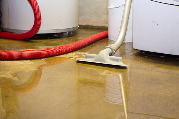 Best Ceiling water damage repair  in Homewood, IL