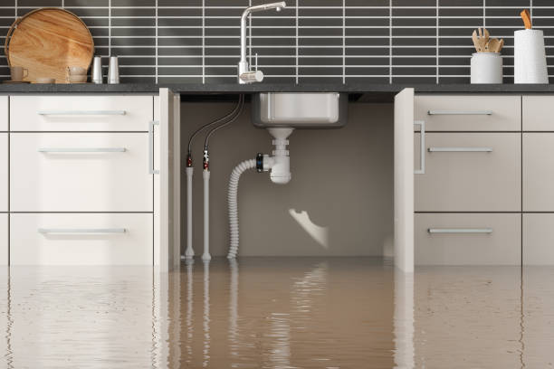 Best Professional water damage repair  in Homewood, IL